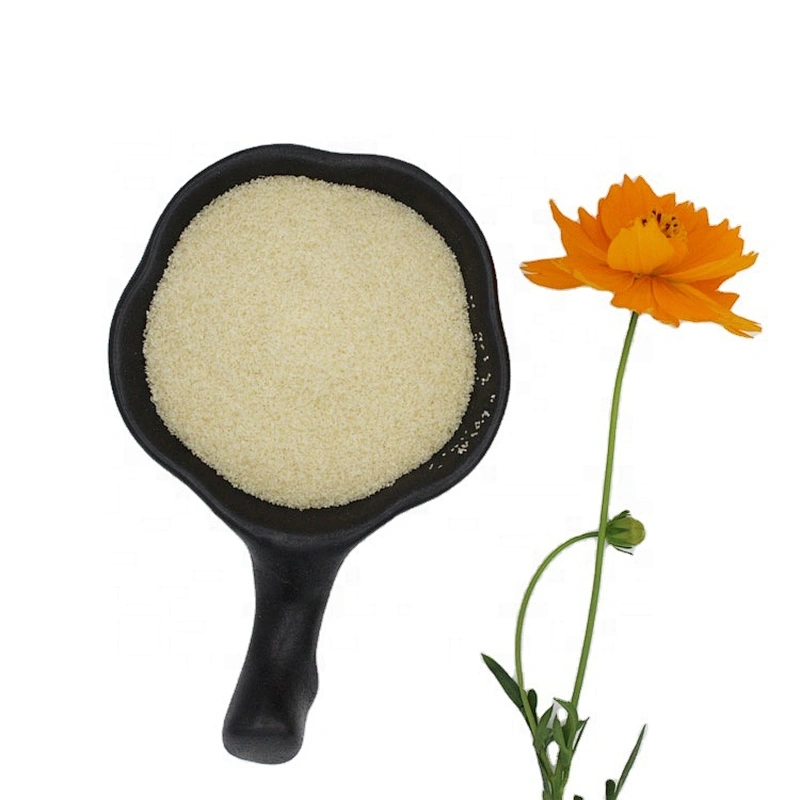 Hot Sale Food Gelatin Powder 8-60mesh