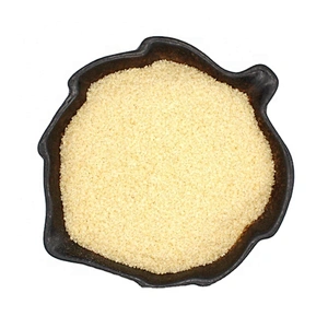 Hot Sale Food Gelatin Powder 8-60mesh